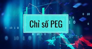 Chỉ Số Peg Là Gì? Ý Nghĩa & Cách Tính Giúp Nhà Đầu Tư Thành Công Nhanh