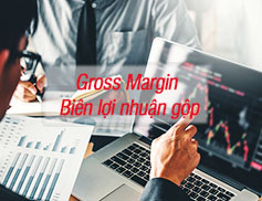 Biên lợi nhuận gộp Gross Margin là gì? Chỉ Số bao nhiêu là tốt ?