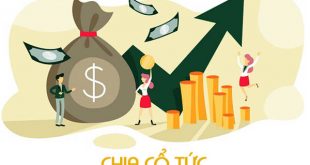 Chia Cổ Tức Là Gì? Trả Cổ Tức Bằng Cổ Phiếu Hay Tiền Mặt Thì Tốt Hơn?